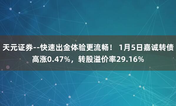天元证券--快速出金体验更流畅！ 1月5日嘉诚转债高涨0.47%，转股溢价率29.16%