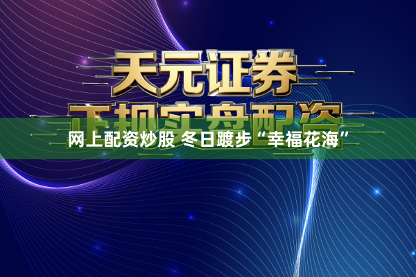 网上配资炒股 冬日踱步“幸福花海”